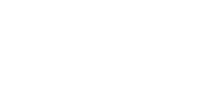 Amelio Consulting