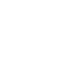 North Lincolnshire Council